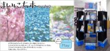 まいにち本5月